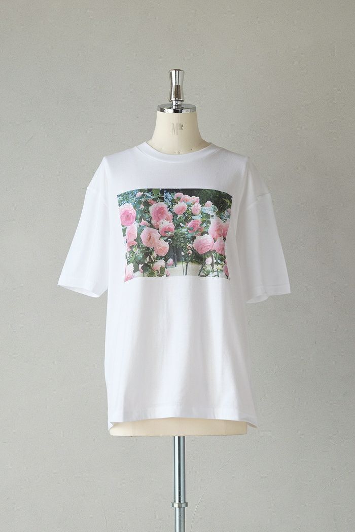 kijinokanosei キジノカノウセイ tuck blouse-mimosa-(25SS) | T.T. GARRET